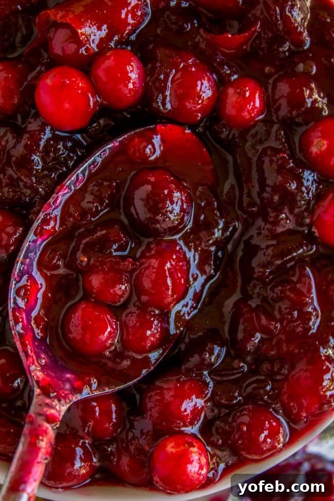 Scooping Cranberry Sauce A spoon lifting luscious homemade cranberry sauce from a serving bowl, showcasing its texture.