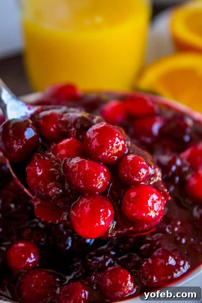 Fresh Cranberry Sauce Scoop Close-up of fresh, vibrant cranberry sauce on a spoon, highlighting its rich color and texture.