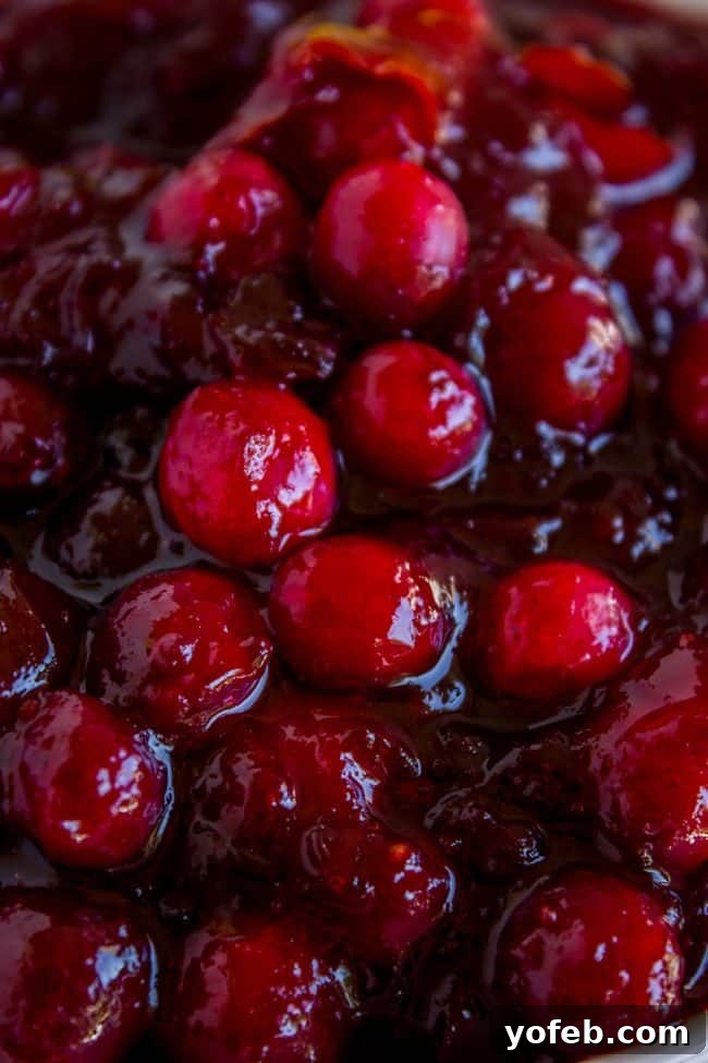 Whole Cranberry Sauce Texture A beautiful bowl of homemade cranberry sauce, showcasing its rich texture and whole cranberries.