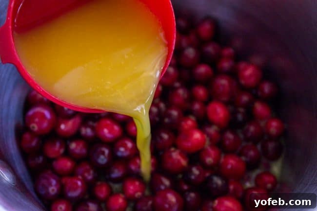 Adding Orange Juice to Cranberries Pouring fresh orange juice into a pot of vibrant cranberries, beginning the cooking process.