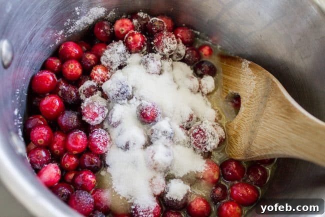 Sweetening Cranberry Sauce Gently stirring granulated sugar into simmering cranberries, sweetening the sauce to perfection.