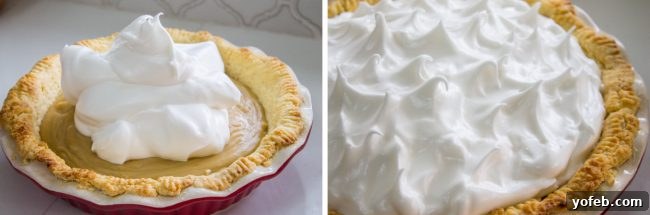 A close-up of a beautifully browned and toasted meringue, with visible peaks and swirls, ready to be served.