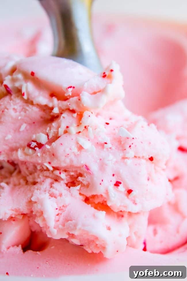Nana's Famous Homemade Peppermint Ice Cream from The Food Charlatan. If you want the BEST and easiest Homemade Peppermint Ice Cream recipe, you've come to the right place! My husband's grandma (Nana) is famous for this recipe! We serve it with Christmas cookies every year during the holidays, and with Nana's Fudge Brownies every 4th of July. It is thick and ultra creamy. #icecream #homemade #homemadeicecream #churned #peppermint #candycane #christmas #dessert #cone #recipe #easy #maker #Sundae peppermint ice cream recipe