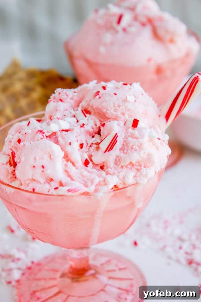 Nana's Famous Homemade Peppermint Ice Cream from The Food Charlatan. If you want the BEST and easiest Homemade Peppermint Ice Cream recipe, you've come to the right place! My husband's grandma (Nana) is famous for this recipe! We serve it with Christmas cookies every year during the holidays, and with Nana's Fudge Brownies every 4th of July. It is thick and ultra creamy. #icecream #homemade #homemadeicecream #churned #peppermint #candycane #christmas #dessert #cone #recipe #easy #maker #Sundae christmas ice cream