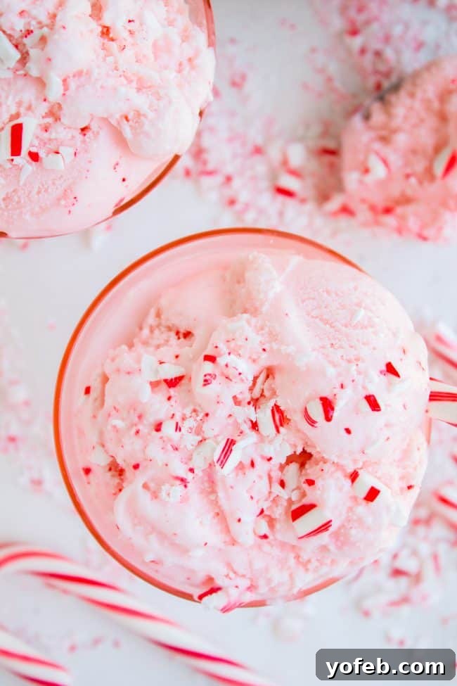 Nana's Famous Homemade Peppermint Ice Cream from The Food Charlatan. If you want the BEST and easiest Homemade Peppermint Ice Cream recipe, you've come to the right place! My husband's grandma (Nana) is famous for this recipe! We serve it with Christmas cookies every year during the holidays, and with Nana's Fudge Brownies every 4th of July. It is thick and ultra creamy. #icecream #homemade #homemadeicecream #churned #peppermint #candycane #christmas #dessert #cone #recipe #easy #maker #Sundae homemade ice cream