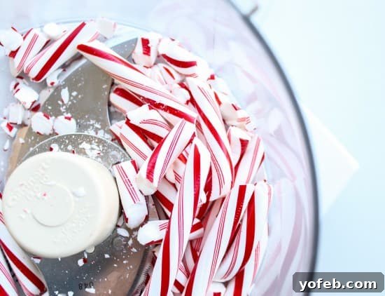 Nana's Famous Homemade Peppermint Ice Cream from The Food Charlatan. If you want the BEST and easiest Homemade Peppermint Ice Cream recipe, you've come to the right place! My husband's grandma (Nana) is famous for this recipe! We serve it with Christmas cookies every year during the holidays, and with Nana's Fudge Brownies every 4th of July. It is thick and ultra creamy. #icecream #homemade #homemadeicecream #churned #peppermint #candycane #christmas #dessert #cone #recipe #easy #maker #Sundae Christmas dessert recipes