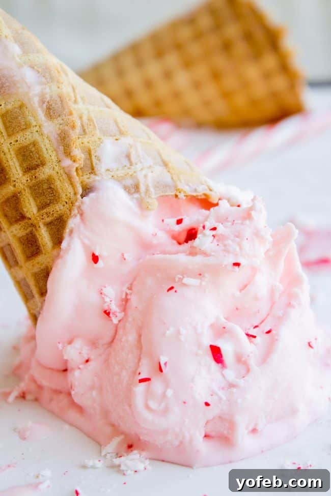 Nana's Famous Homemade Peppermint Ice Cream from The Food Charlatan. If you want the BEST and easiest Homemade Peppermint Ice Cream recipe, you've come to the right place! My husband's grandma (Nana) is famous for this recipe! We serve it with Christmas cookies every year during the holidays, and with Nana's Fudge Brownies every 4th of July. It is thick and ultra creamy. #icecream #homemade #homemadeicecream #churned #peppermint #candycane #christmas #dessert #cone #recipe #easy #maker #Sundae Christmas dessert recipes