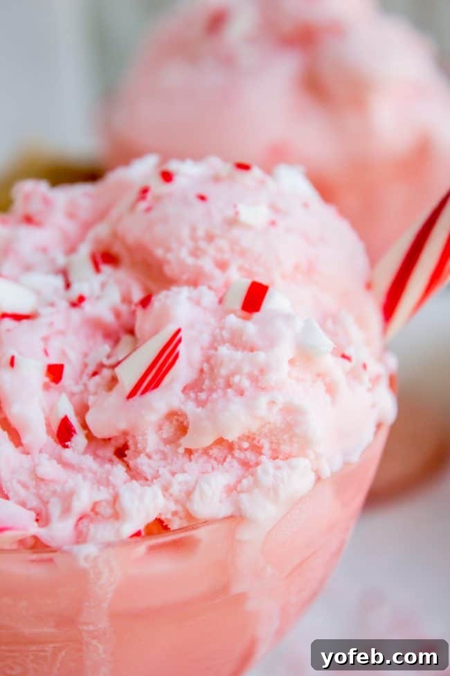 Nana's Famous Homemade Peppermint Ice Cream from The Food Charlatan. If you want the BEST and easiest Homemade Peppermint Ice Cream recipe, you've come to the right place! My husband's grandma (Nana) is famous for this recipe! We serve it with Christmas cookies every year during the holidays, and with Nana's Fudge Brownies every 4th of July. It is thick and ultra creamy. #icecream #homemade #homemadeicecream #churned #peppermint #candycane #christmas #dessert #cone #recipe #easy #maker #Sundae peppermint ice cream