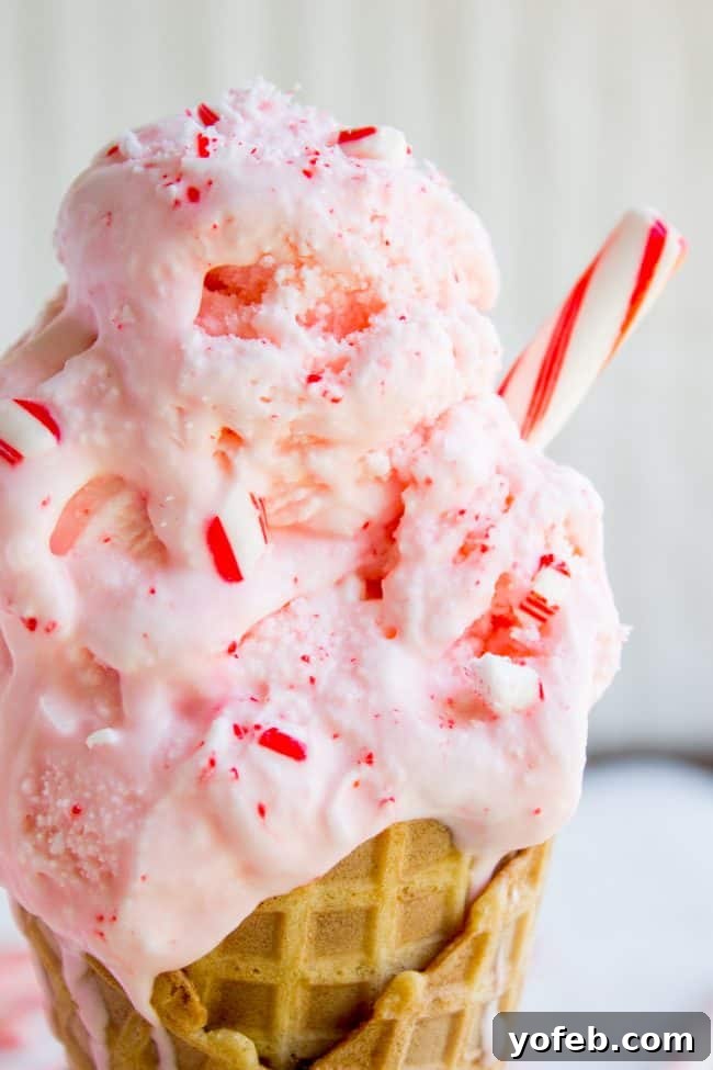 Nana's Famous Homemade Peppermint Ice Cream from The Food Charlatan. If you want the BEST and easiest Homemade Peppermint Ice Cream recipe, you've come to the right place! My husband's grandma (Nana) is famous for this recipe! We serve it with Christmas cookies every year during the holidays, and with Nana's Fudge Brownies every 4th of July. It is thick and ultra creamy. #icecream #homemade #homemadeicecream #churned #peppermint #candycane #christmas #cone #recipe #easy #maker #Sundae peppermint ice cream