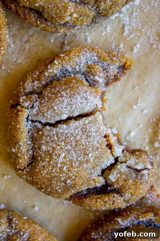 Perfectly Soft and Chewy Molasses Cookies from The Food Charlatan. Soft and Chewy Ginger Molasses Cookies are one of those treats I could probably eat every day for the rest of my life and never get tired of it. They are just SO perfectly spicy, chewy, soft and flavorful. It's basically a Christmas cookie dream come true! #soft #easy #chewy #molasses #cookie #Christmas #crinkle #best #recipe #dark #grandmas #gingerbread #shortening #cookieswap cracked sugary molasses cookie with a bite taken out of it.