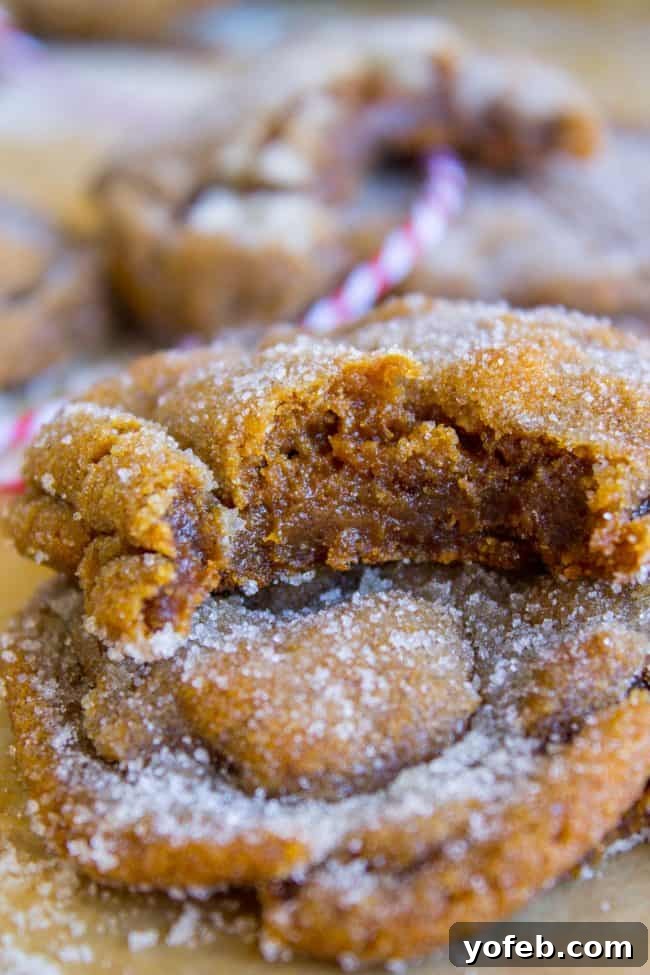 Perfectly Soft and Chewy Molasses Cookies from The Food Charlatan. Soft and Chewy Ginger Molasses Cookies are one of those treats I could probably eat every day for the rest of my life and never get tired of it. They are just SO perfectly spicy, chewy, soft and flavorful. It's basically a Christmas cookie dream come true! #soft #easy #chewy #molasses #cookie #Christmas #crinkle #best #recipe #dark #grandmas #gingerbread #shortening #cookieswap stack of sugary molasses cookies, the top one with a bite taken out of it.