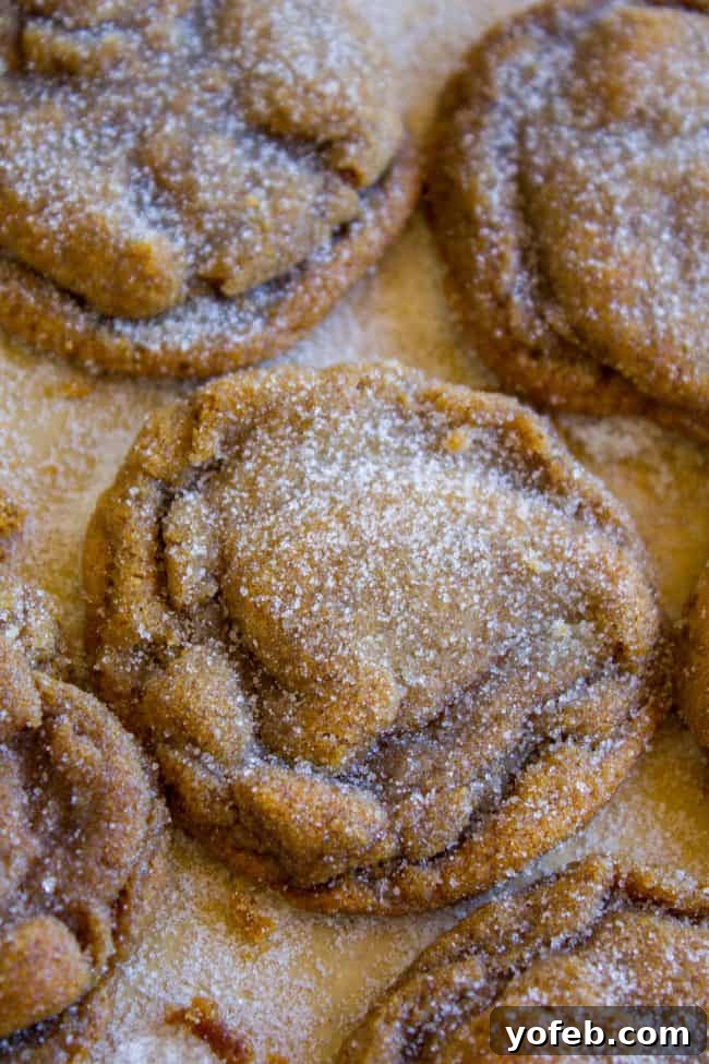 Perfectly Soft and Chewy Molasses Cookies from The Food Charlatan. Soft and Chewy Ginger Molasses Cookies are one of those treats I could probably eat every day for the rest of my life and never get tired of it. They are just SO perfectly spicy, chewy, soft and flavorful. It's basically a Christmas cookie dream come true! #soft #easy #chewy #molasses #cookie #Christmas #crinkle #best #recipe #dark #grandmas #gingerbread #shortening #cookieswap molasses cookies rolled in sugar on a parchment lined baking sheet.