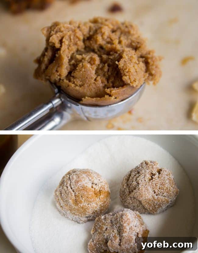 Perfectly Soft and Chewy Molasses Cookies from The Food Charlatan. Soft and Chewy Ginger Molasses Cookies are one of those treats I could probably eat every day for the rest of my life and never get tired of it. It's basically a Christmas cookie dream come true! #soft #easy #chewy #molasses #cookie #Christmas #crinkle #best #recipe #dark #grandmas #gingerbread #shortening #cookieswap molasses cookie dough in a cookie scoop, balls of molasses cookie dough being rolled in sugar.
