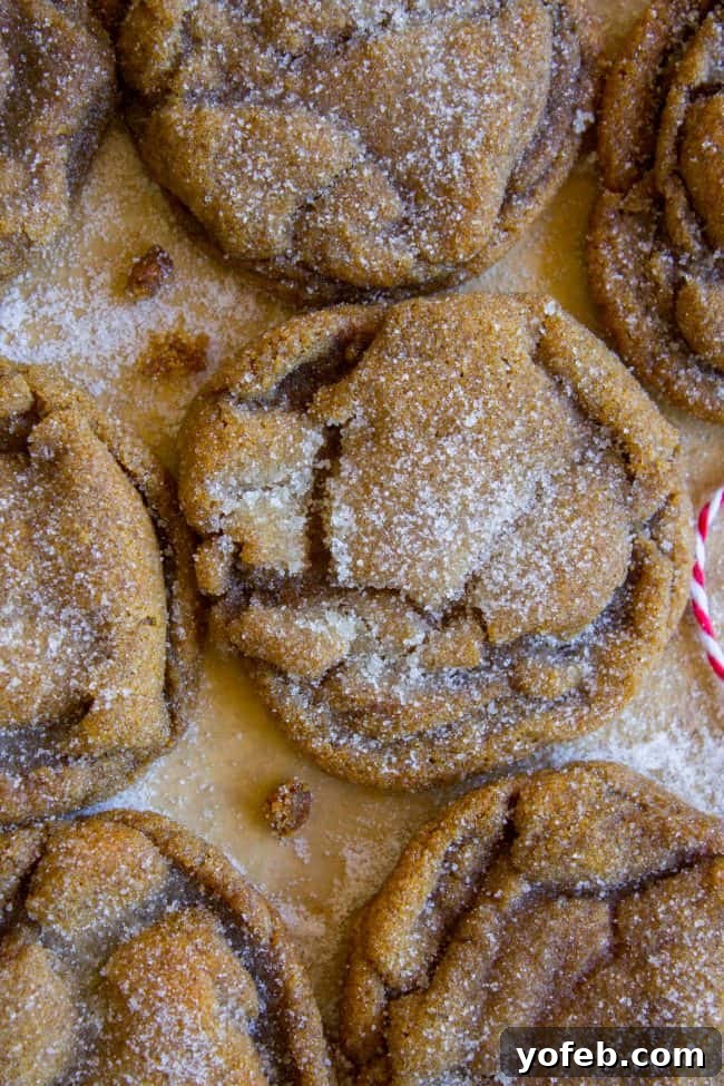 Perfectly Soft and Chewy Molasses Cookies from The Food Charlatan. Soft and Chewy Ginger Molasses Cookies are one of those treats I could probably eat every day for the rest of my life and never get tired of it. It's basically a Christmas cookie dream come true! #soft #easy #chewy #molasses #cookie #Christmas #crinkle #best #recipe #dark #grandmas #gingerbread #shortening #cookieswap soft sugary molasses cookies on a baking sheet with red and white twine.