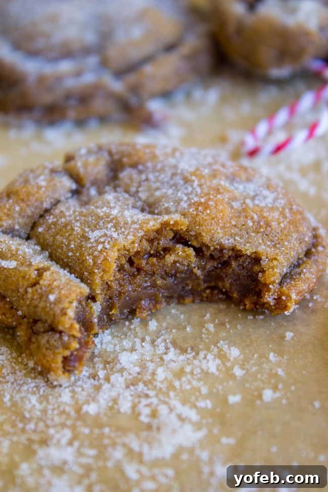 Perfectly Soft and Chewy Molasses Cookies from The Food Charlatan. Soft and Chewy Ginger Molasses Cookies are one of those treats I could probably eat every day for the rest of my life and never get tired of it. It's basically a Christmas cookie dream come true! #soft #easy #chewy #molasses #cookie #Christmas #crinkle #best #recipe #dark #grandmas #gingerbread #shortening #cookieswap soft molasses cookie rolled in sugar with a bite taken out of it.