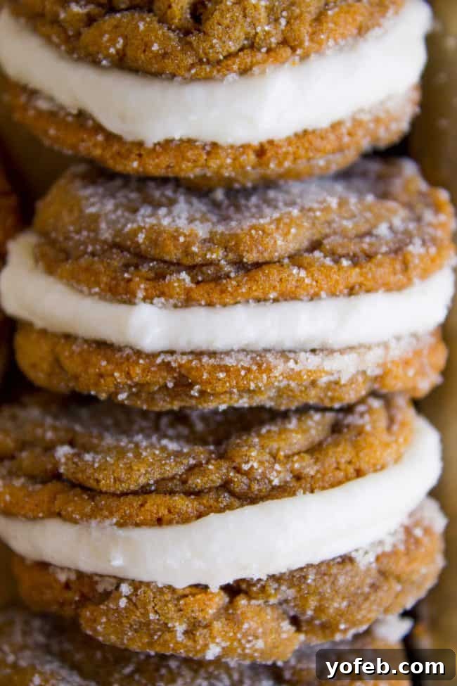 Warm Ginger Molasses Sandwich Cookies with Fluffy Buttercream 2 Two ginger molasses sandwich cookies with creamy vanilla buttercream frosting, stacked on a white plate, exuding holiday cheer.