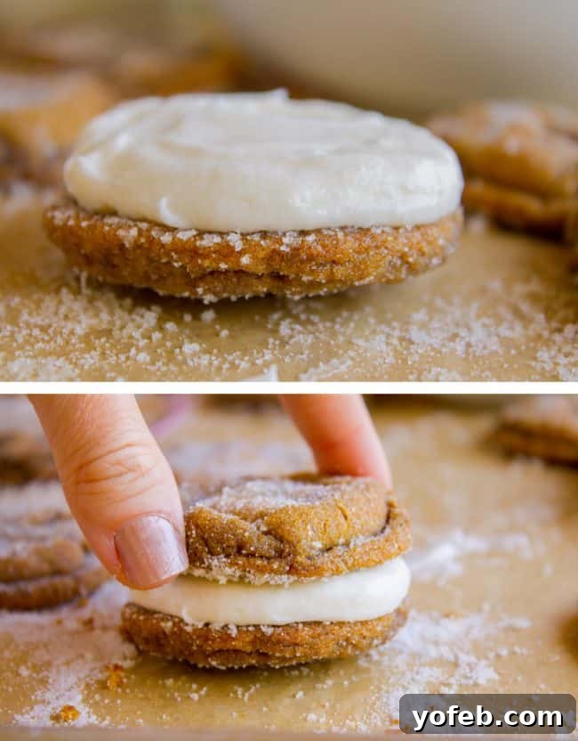 Warm Ginger Molasses Sandwich Cookies with Fluffy Buttercream 7 Hands carefully spread a generous layer of creamy vanilla buttercream frosting onto the flat side of a ginger molasses cookie, preparing it for its sandwich partner.