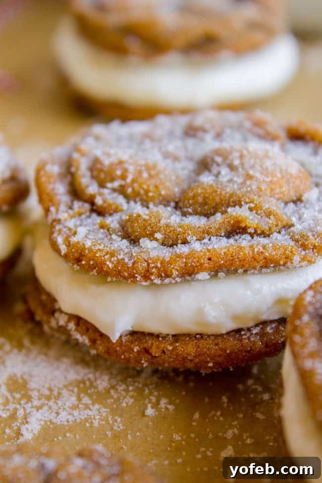 Warm Ginger Molasses Sandwich Cookies with Fluffy Buttercream 9 A close-up of a single ginger molasses sandwich cookie, perfectly round and sugar-dusted, revealing a generous layer of white buttercream filling.