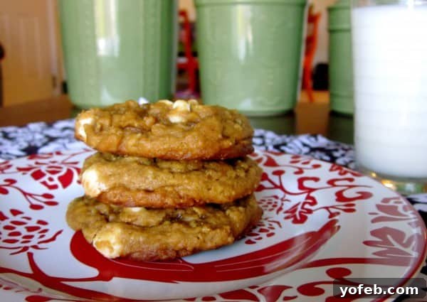 Cozy Pumpkin Oatmeal White Chocolate Chip Cookies 3 Two hands holding a fresh, soft Pumpkin Oatmeal White Chocolate Chip Cookie, with more cookies blurred in the background on a rustic wooden surface.