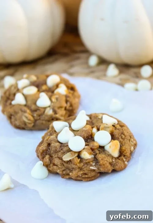 Cozy Pumpkin Oatmeal White Chocolate Chip Cookies 6 A cluster of warm Pumpkin Oatmeal White Chocolate Chip Cookies on a white plate, ready to be served.
