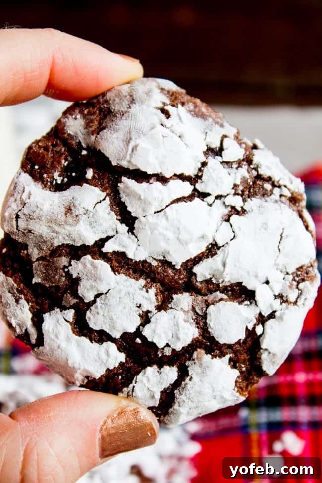 A perfectly baked Fudgy Chocolate Crinkle Cookie, held gently by a hand, showcasing its beautiful crinkled surface and powdered sugar coating.