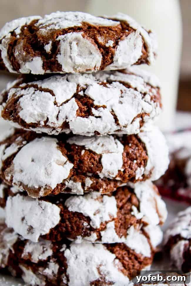 A delightful stack of homemade Fudgy Chocolate Crinkle Cookies, generously coated in powdered sugar and ready to be enjoyed.