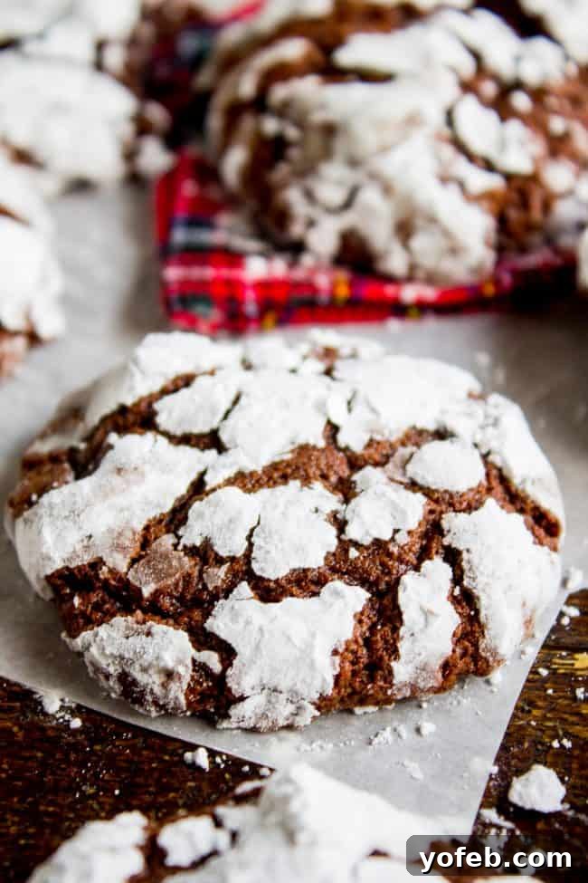 A single, exquisite Fudgy Chocolate Crinkle Cookie sits on parchment paper, displaying its perfect powdered sugar coating and deep chocolate color.