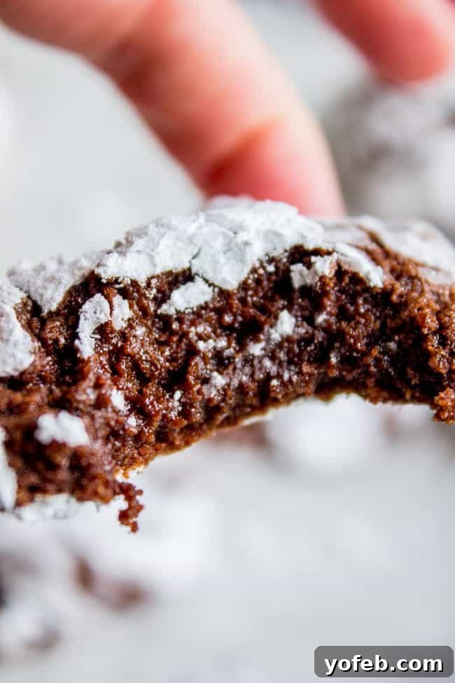 A close-up of a Fudgy Chocolate Crinkle Cookie with a bite taken out, showcasing its moist, dark interior against the white powdered sugar.