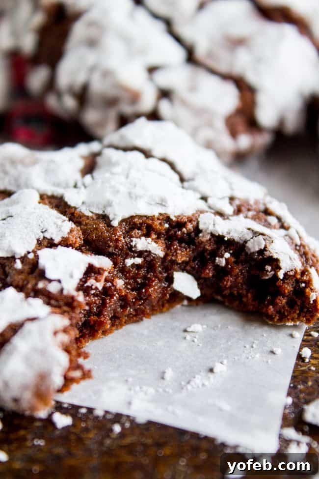 A close-up of a chocolate crinkle cookie covered in powdered sugar, with a bite taken out, rests on parchment paper. Other chocolate crinkle cookies are blurred in the background.