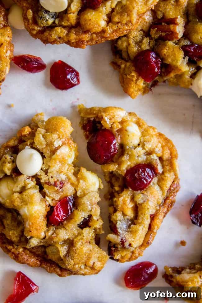 White Chocolate Cranberry Cookie: A festive and flavorful treat featuring creamy white chocolate, tart cranberries, crunchy pecans, and a hint of coconut, all in a thick, chewy oat base. A single White Chocolate Cranberry Cookie held up to show its thick, chewy texture and abundant white chocolate and cranberry pieces