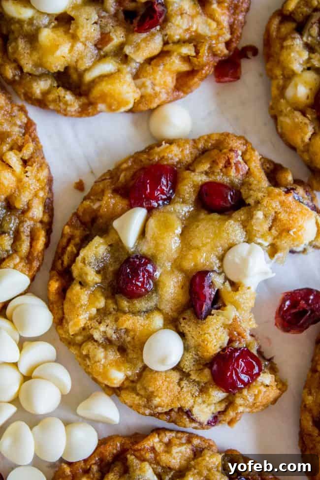 Oatmeal Cranberry White Chocolate Chip Cookies: A detailed view of these festive cookies, highlighting their hearty oats, crunchy pecans, and the beautiful contrast of white chocolate and rehydrated cranberries. A close-up shot of Oatmeal Cranberry White Chocolate Chip Cookies, emphasizing their rich texture and festive ingredients
