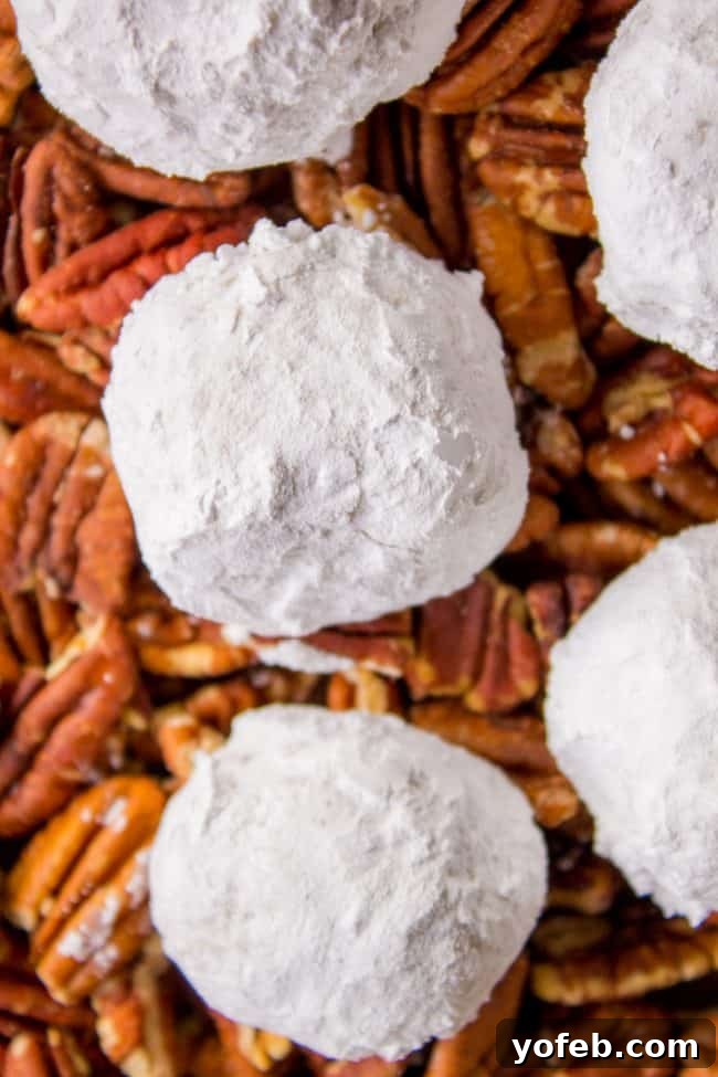 Beautifully dusted Mexican Wedding Cookies, a perfect dessert or holiday treat. Mexican wedding cookies arranged artfully on a bed of pecan halves, showcasing their round shape and snowy coating.