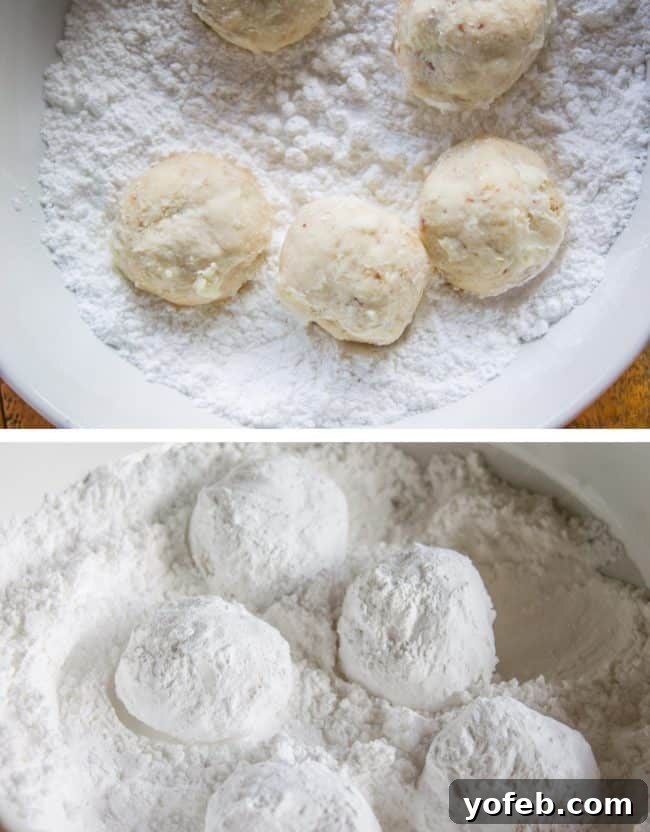 The technique of rolling Russian Tea Cakes in powdered sugar for an ideal finish. Rolling baked cookie balls in powdered sugar, demonstrating the process of achieving a perfect coating.