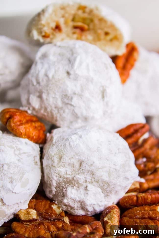 A festive display of Mexican Wedding Cookies with pecans, ready for sharing. Mexican wedding cookies elegantly arranged on a bed of pecans, highlighting their white coating and appealing round shape.