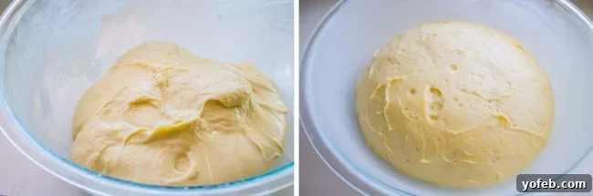 Cinnamon roll dough in a bowl, shown before and after rising in the refrigerator, highlighting its beautiful transformation.