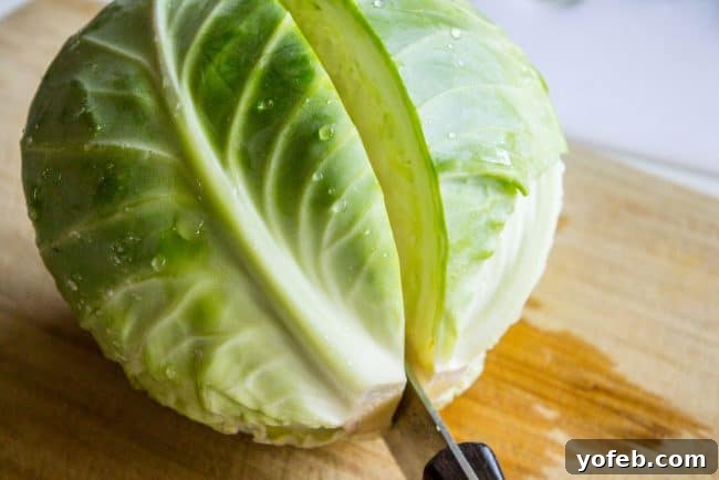How to prepare cabbage for perfect shredding. slicing a head of green cabbage in half.