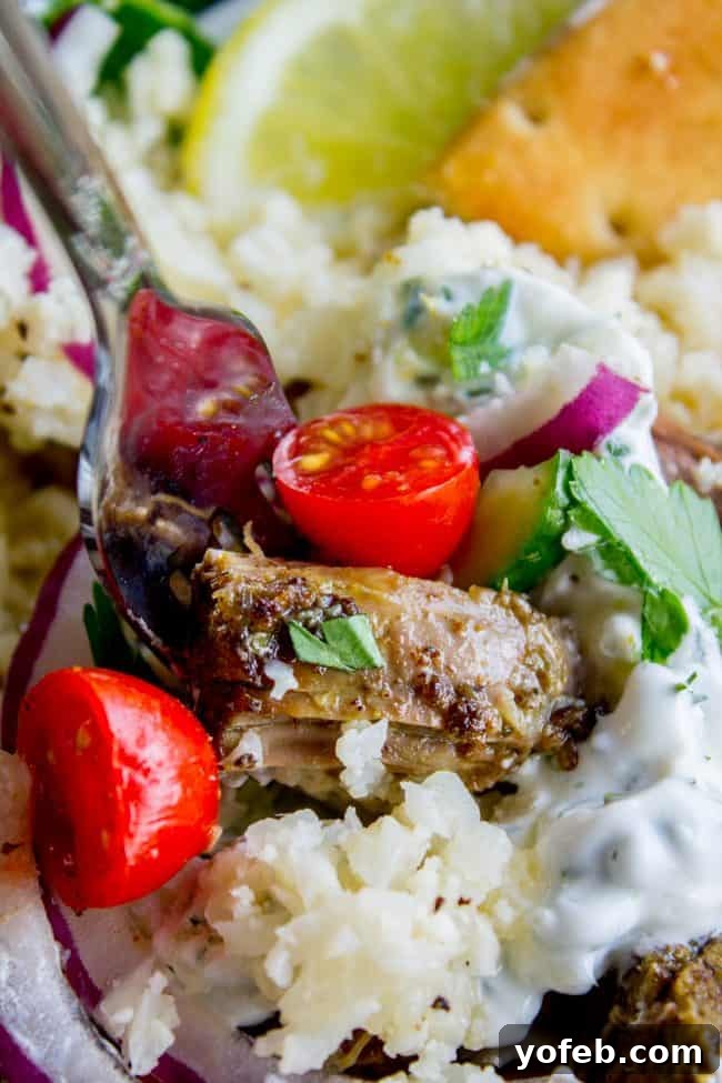Serving Shredded Beef Gyro with Cauliflower Rice and Tzatziki Sauce. A forkful of tender shredded beef gyro, paired with cauliflower rice, a generous dollop of tzatziki sauce, and fresh herbs.