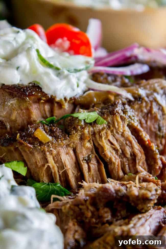 Perfectly seasoned shredded Greek gyro beef served with Tzatziki. Close-up of shredded Greek gyro beef glistening with juices, garnished with fresh herbs and served alongside a creamy tzatziki sauce.