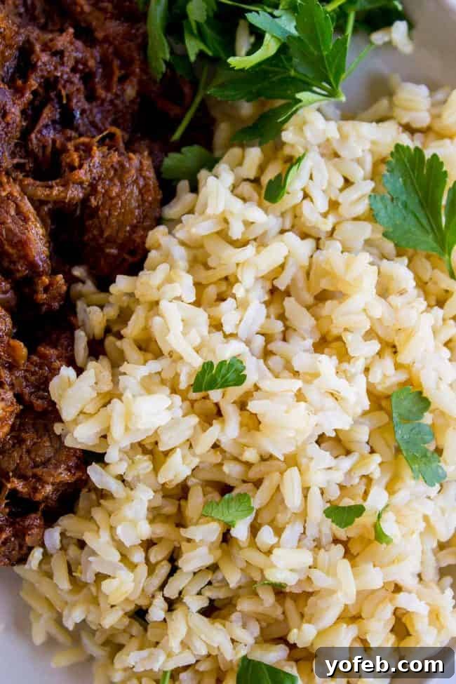 Instant pot brown rice with beef and cilantro on a plate, ready to be served as a healthy, flavorful meal.