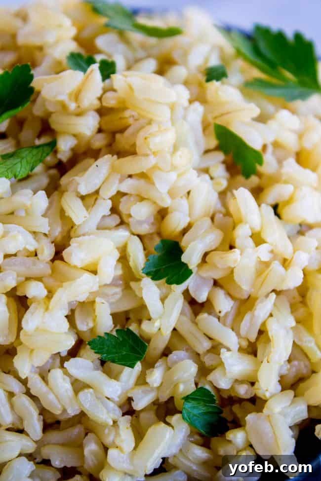 Instant Pot brown rice generously garnished with fresh cilantro, served in a bowl next to the pressure cooker, perfect for a wholesome meal.