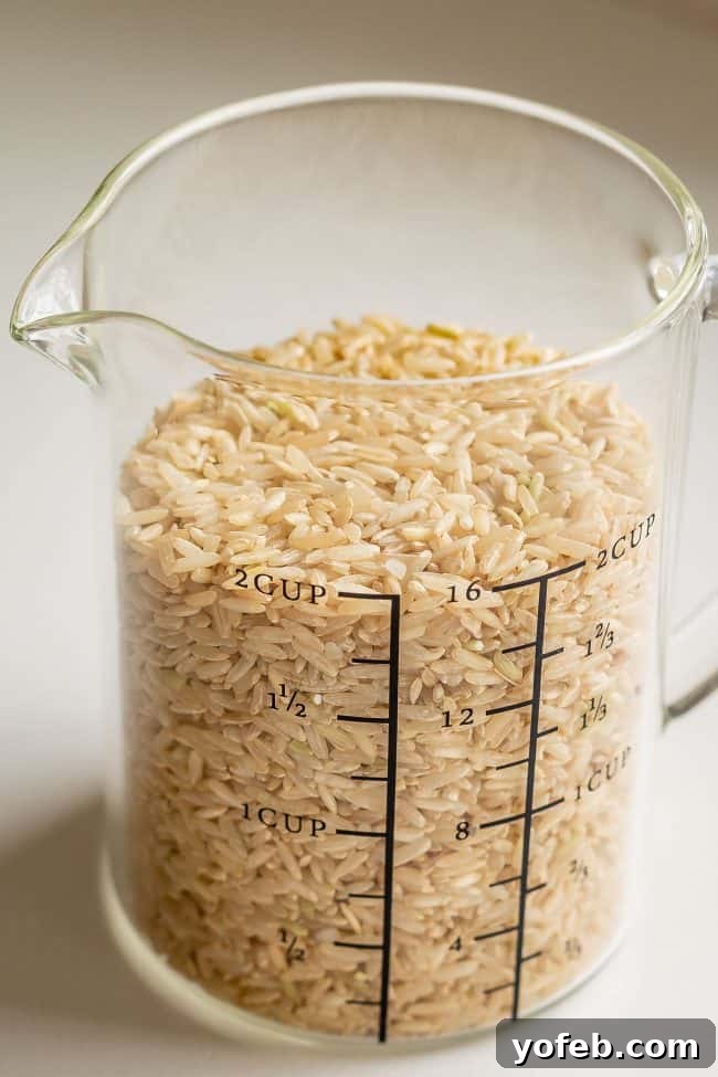 A 2-cup measuring cup filled with uncooked dry brown rice, illustrating the quantity before preparation for a recipe.