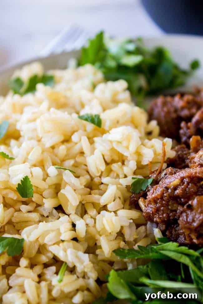 Instant Pot brown rice served with succulent beef and fresh cilantro, showcasing a vibrant, healthy, and complete meal.