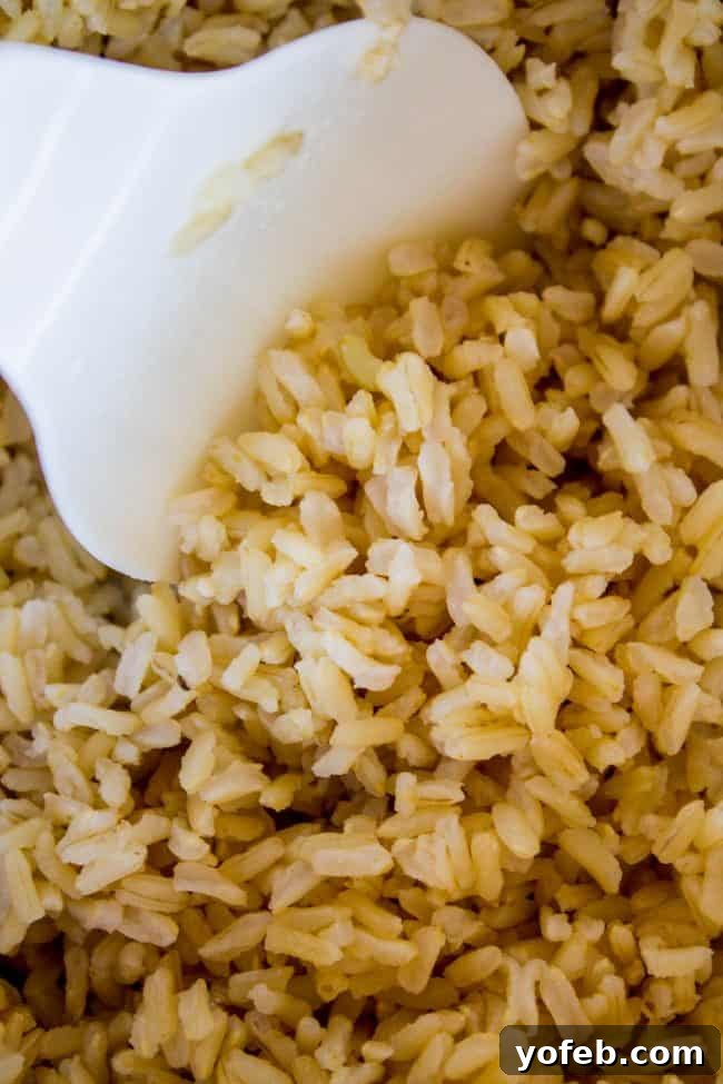 A scoop of perfectly fluffy brown rice served with a rice paddle, showcasing its ideal texture for immediate serving or meal prep.