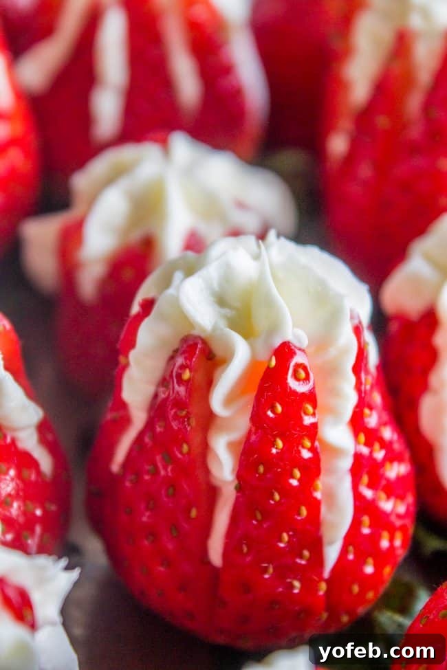 Piping Cheesecake into Strawberries strawberry blossom being filled with cheesecake