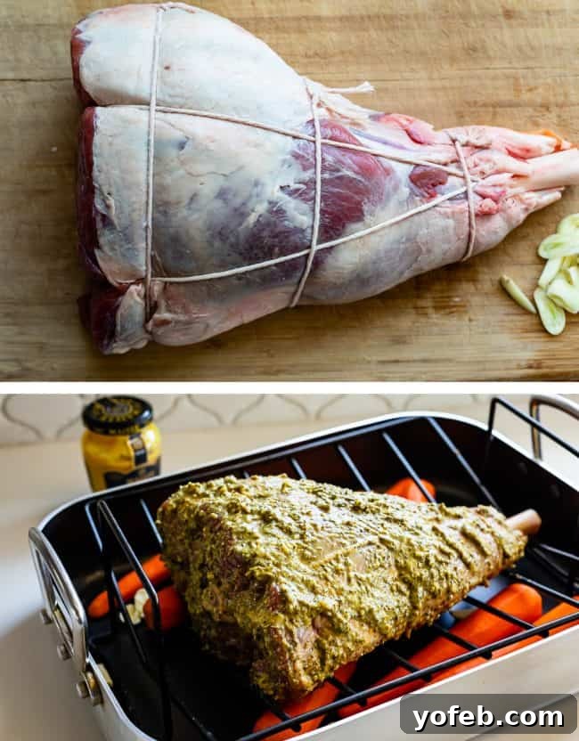 Prepared Lamb Roast in Pan with Vegetables A bone-in leg of lamb prepared with kitchen twine, next to another leg of lamb seasoned with herbs and mustard in a roasting pan with vegetables.