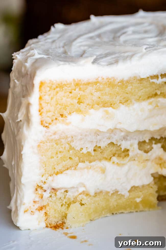 Indulgent Slice of Homemade White Cake A large slice of moist vanilla white cake with creamy vanilla frosting sits on a white plate, inviting indulgence.