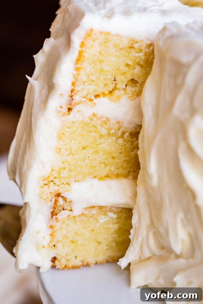 Moist White Cake: A Fluffy, Buttery Masterpiece from Scratch A delectable slice of homemade white cake with rich vanilla frosting, showcasing its perfectly moist and fluffy texture.