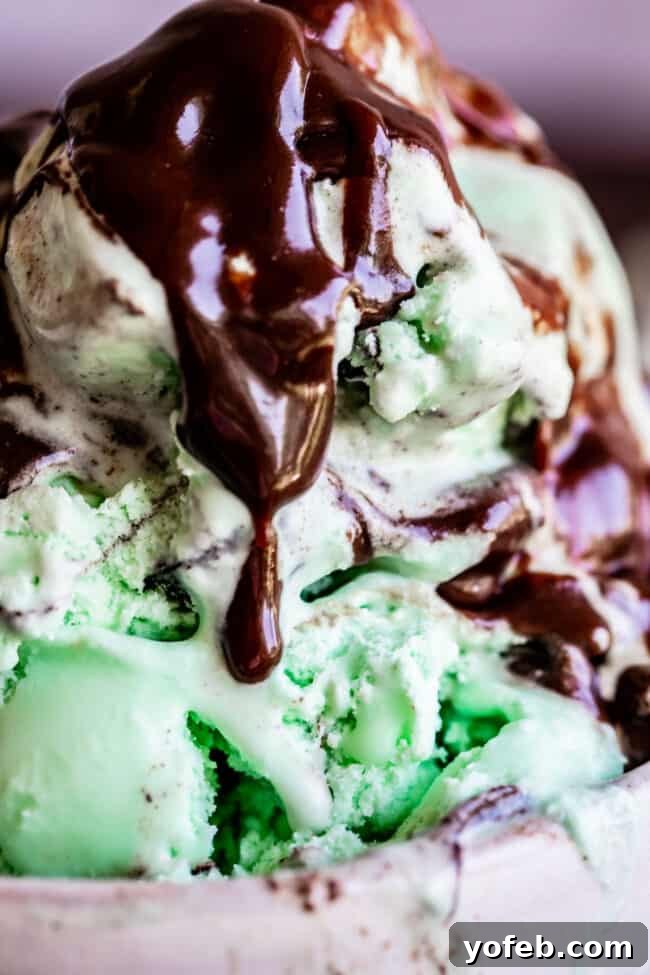 Easy Homemade Chocolate Sauce 2 Hot fudge sauce generously drizzled over mint chocolate chip ice cream, promising a decadent treat.