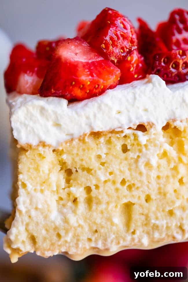 Ultimate Tres Leches Perfection 2 tres leches cake with strawberries on top shot from close up.