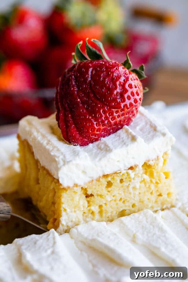 Ultimate Tres Leches Perfection 4 a piece of tres leches cake with a sliced strawberry on top.